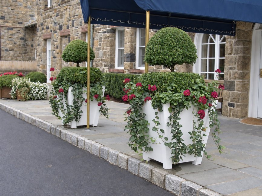 CCC Front topiary planters after