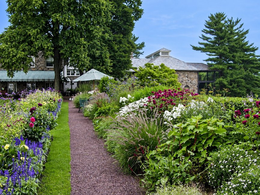 CCC flower border after