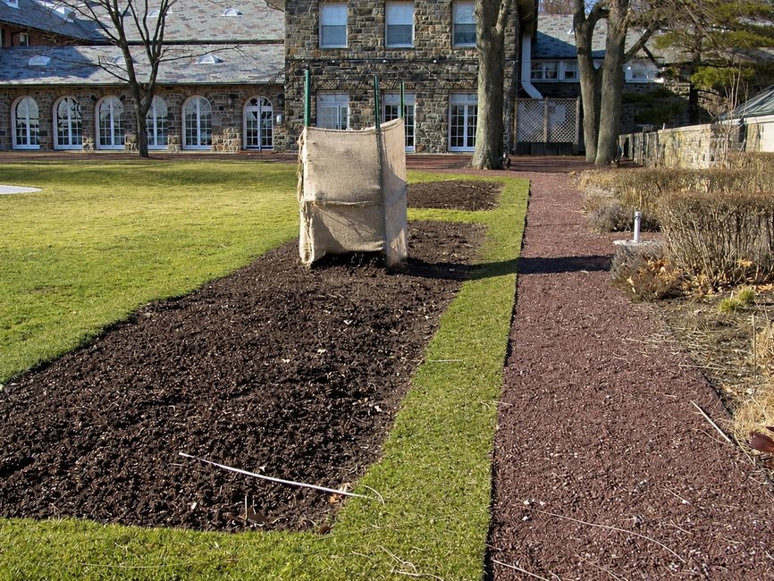 CCC flower border before