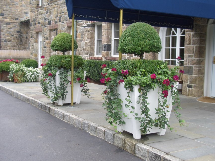 Topiary planter (2)