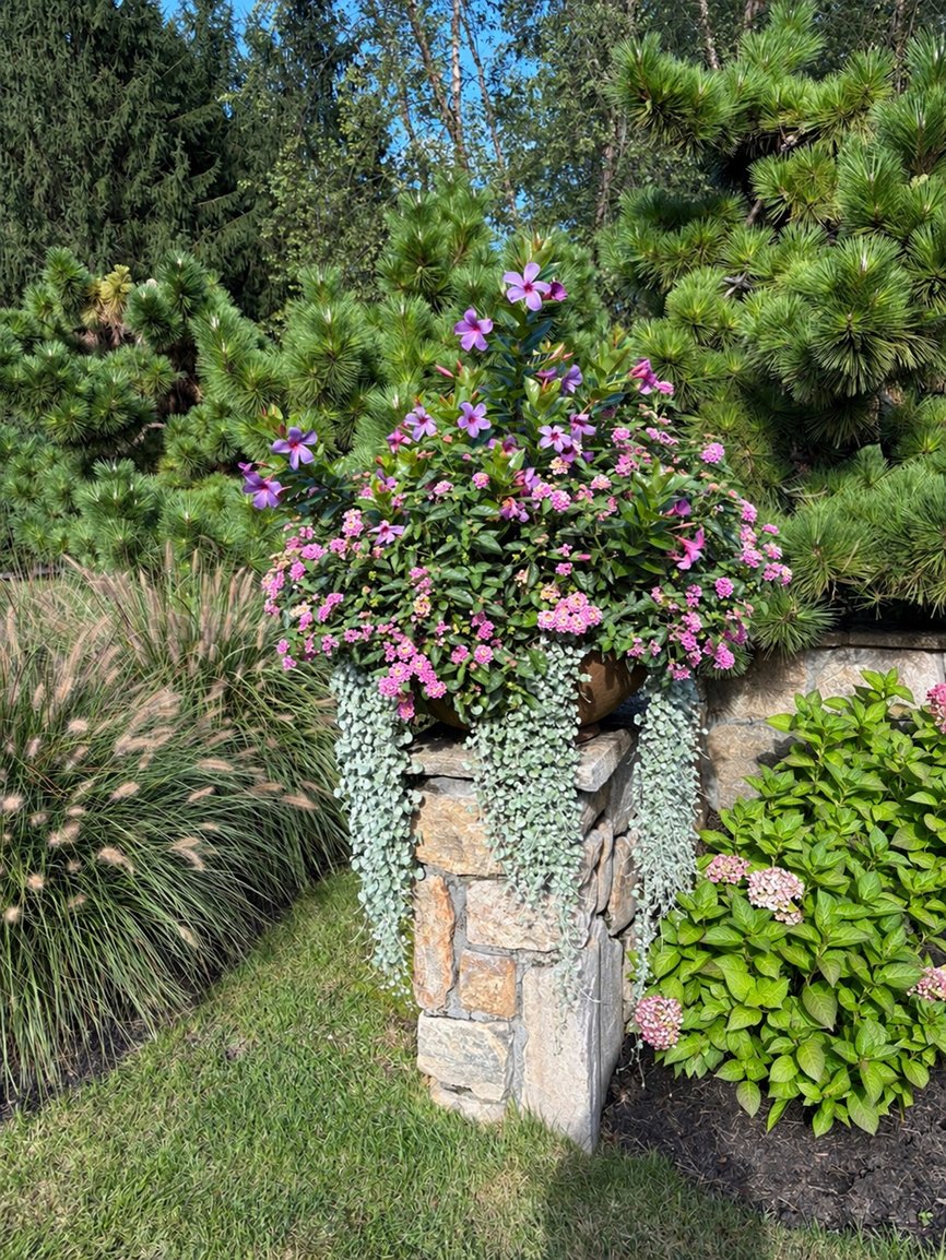 rubin planter final